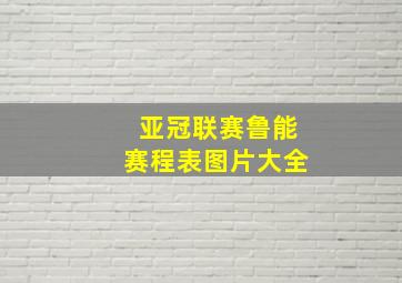 亚冠联赛鲁能赛程表图片大全