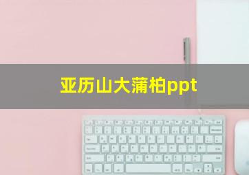 亚历山大蒲柏ppt