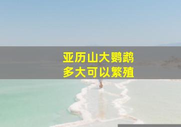 亚历山大鹦鹉多大可以繁殖