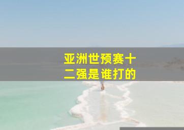 亚洲世预赛十二强是谁打的