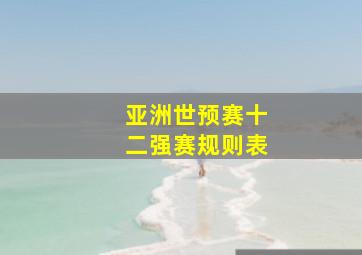 亚洲世预赛十二强赛规则表