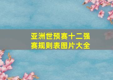 亚洲世预赛十二强赛规则表图片大全