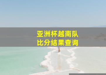 亚洲杯越南队比分结果查询