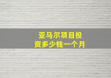 亚马尔项目投资多少钱一个月