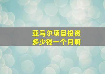 亚马尔项目投资多少钱一个月啊