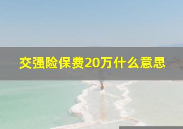 交强险保费20万什么意思