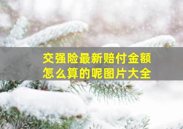 交强险最新赔付金额怎么算的呢图片大全