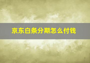 京东白条分期怎么付钱