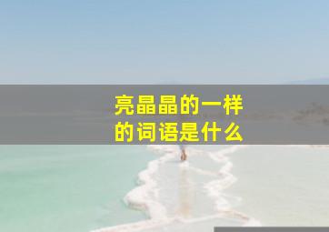 亮晶晶的一样的词语是什么