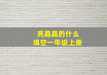 亮晶晶的什么填空一年级上册