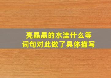 亮晶晶的水洼什么等词句对此做了具体描写