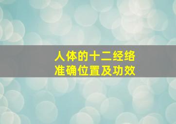 人体的十二经络准确位置及功效