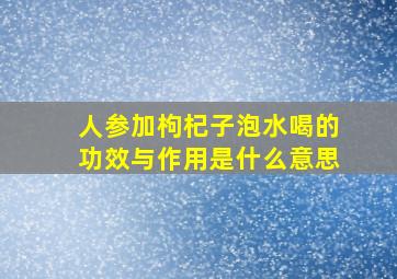 人参加枸杞子泡水喝的功效与作用是什么意思