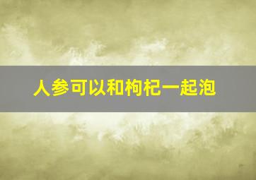 人参可以和枸杞一起泡