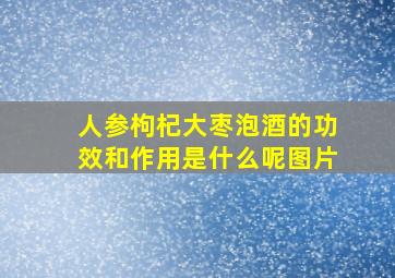 人参枸杞大枣泡酒的功效和作用是什么呢图片