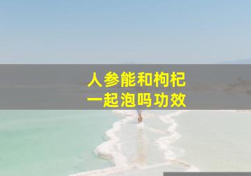 人参能和枸杞一起泡吗功效