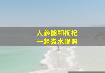 人参能和枸杞一起煮水喝吗