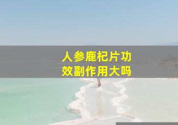 人参鹿杞片功效副作用大吗