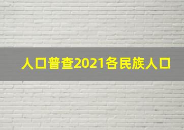 人口普查2021各民族人口