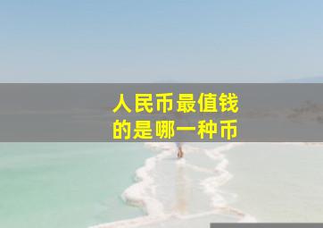 人民币最值钱的是哪一种币