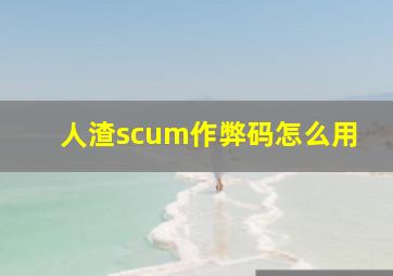 人渣scum作弊码怎么用