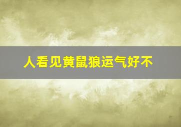 人看见黄鼠狼运气好不