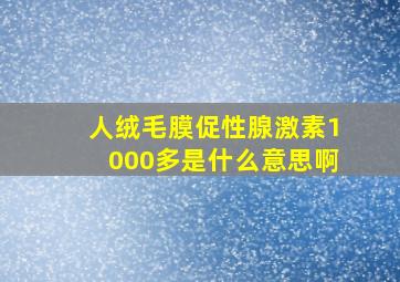 人绒毛膜促性腺激素1000多是什么意思啊