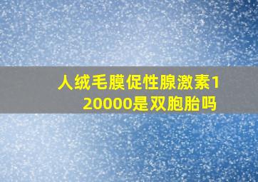 人绒毛膜促性腺激素120000是双胞胎吗