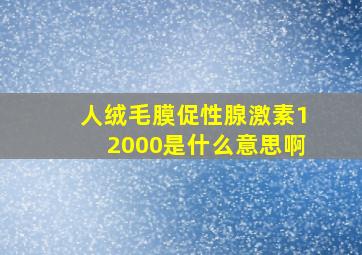 人绒毛膜促性腺激素12000是什么意思啊