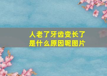 人老了牙齿变长了是什么原因呢图片