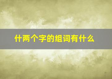 什两个字的组词有什么