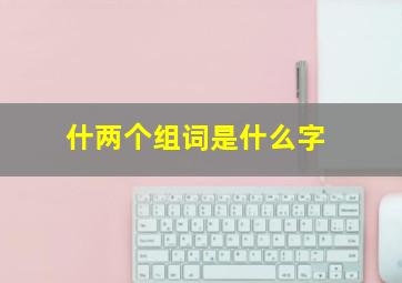 什两个组词是什么字