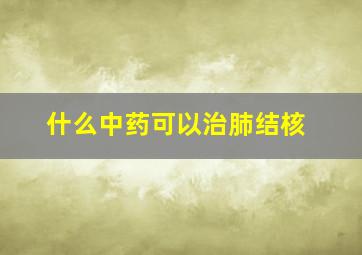 什么中药可以治肺结核