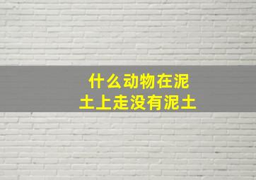 什么动物在泥土上走没有泥土