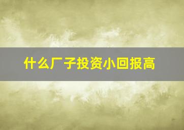 什么厂子投资小回报高