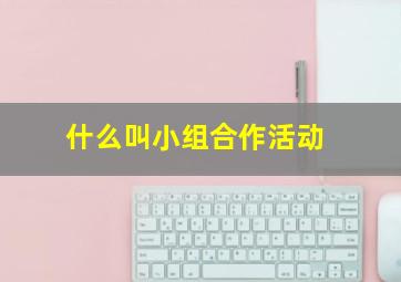 什么叫小组合作活动