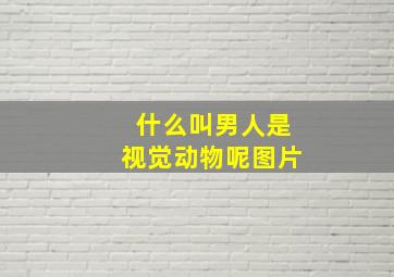 什么叫男人是视觉动物呢图片