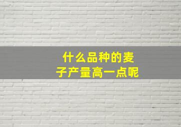 什么品种的麦子产量高一点呢