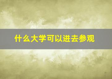 什么大学可以进去参观