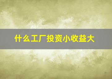 什么工厂投资小收益大