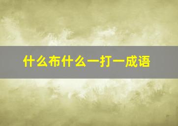 什么布什么一打一成语