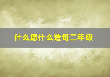 什么愿什么造句二年级