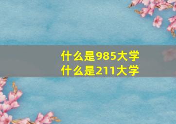 什么是985大学什么是211大学