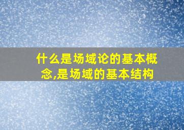 什么是场域论的基本概念,是场域的基本结构