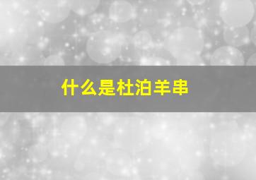 什么是杜泊羊串