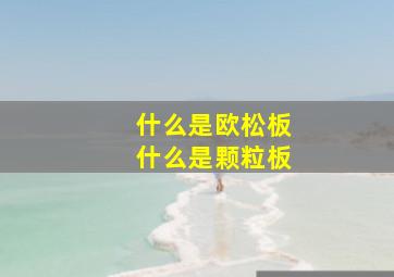 什么是欧松板什么是颗粒板