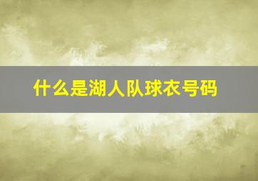 什么是湖人队球衣号码