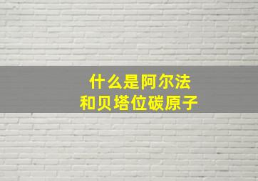 什么是阿尔法和贝塔位碳原子