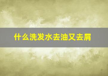 什么洗发水去油又去屑