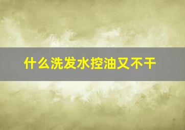 什么洗发水控油又不干